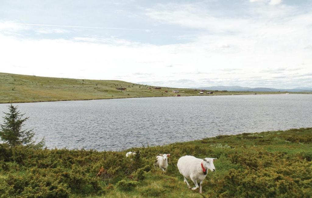 Sulseter Fjellstugu Appartement Vinstra Buitenkant foto