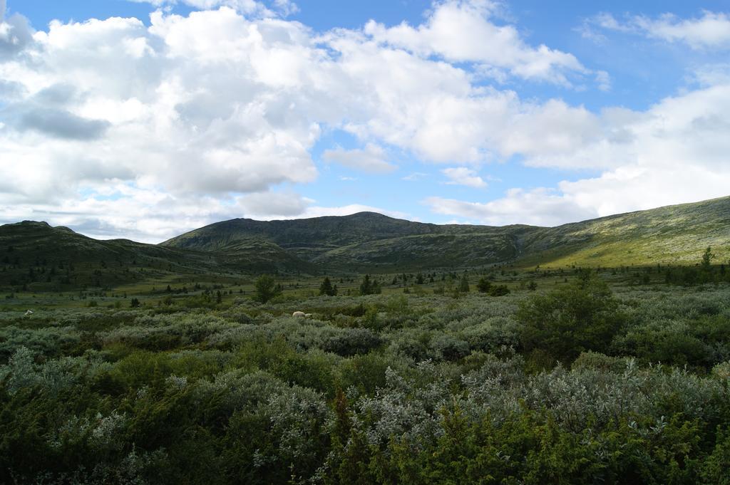 Sulseter Fjellstugu Appartement Vinstra Buitenkant foto