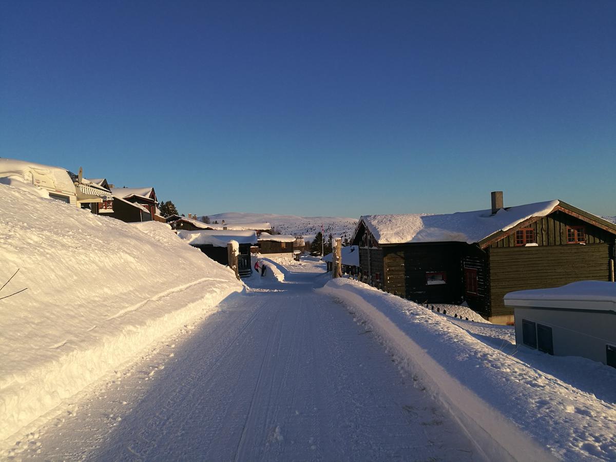 Sulseter Fjellstugu Appartement Vinstra Buitenkant foto