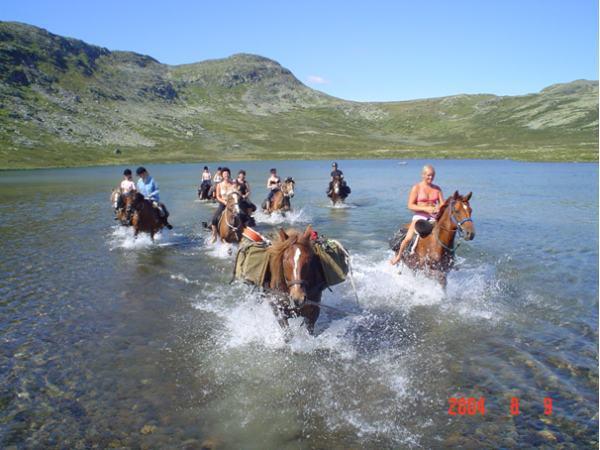 Sulseter Fjellstugu Appartement Vinstra Buitenkant foto