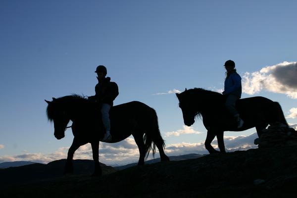 Sulseter Fjellstugu Appartement Vinstra Buitenkant foto