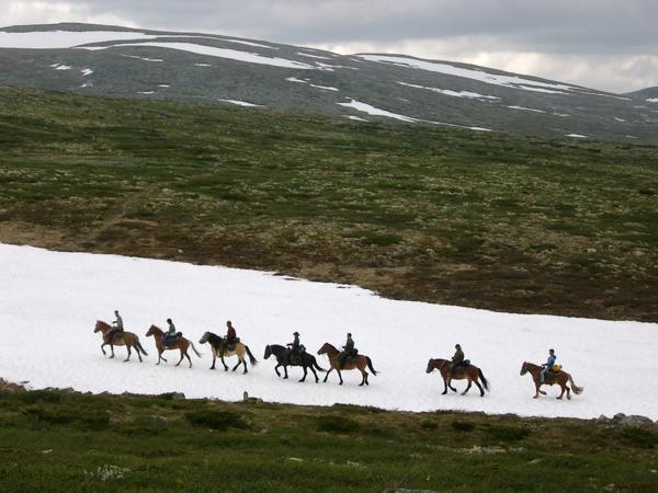 Sulseter Fjellstugu Appartement Vinstra Buitenkant foto